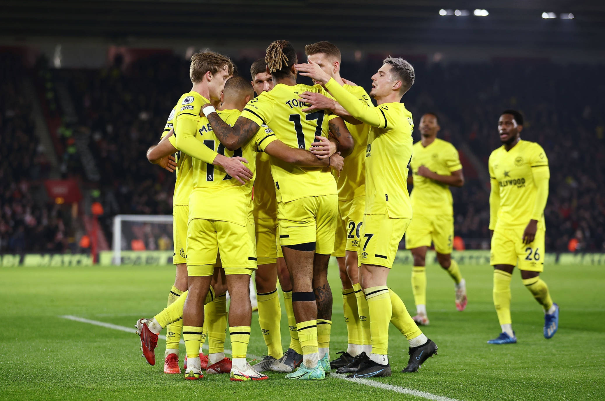 像高岭朋树 像高岭朋树